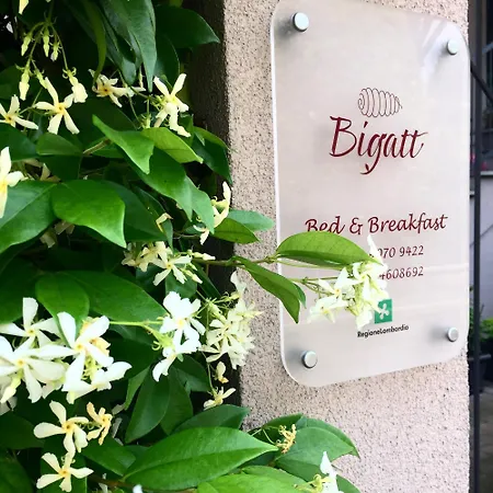 Bigatt לינה וארוחת בוקר 4*