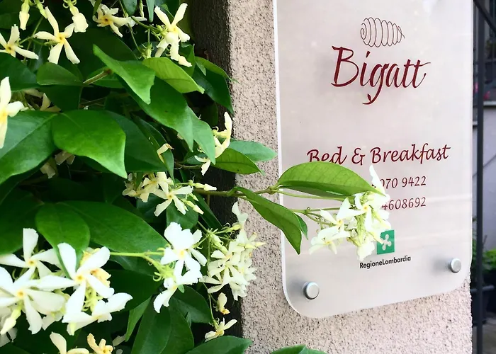 Bigatt ベッド・アンド・ブレックファスト 4*